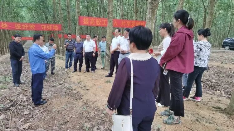 全國(guó)割膠冠軍張健給各單位學(xué)員做標(biāo)準(zhǔn)化膠園建設(shè)及割膠技術(shù)的經(jīng)驗(yàn)介紹。.jpg